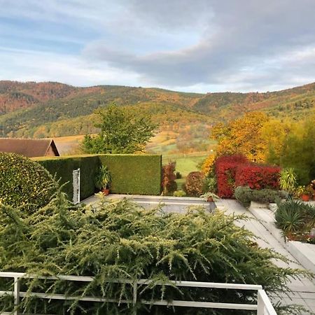 Logement De Charme Au Coeur De La Nature Osenbach Exterior photo