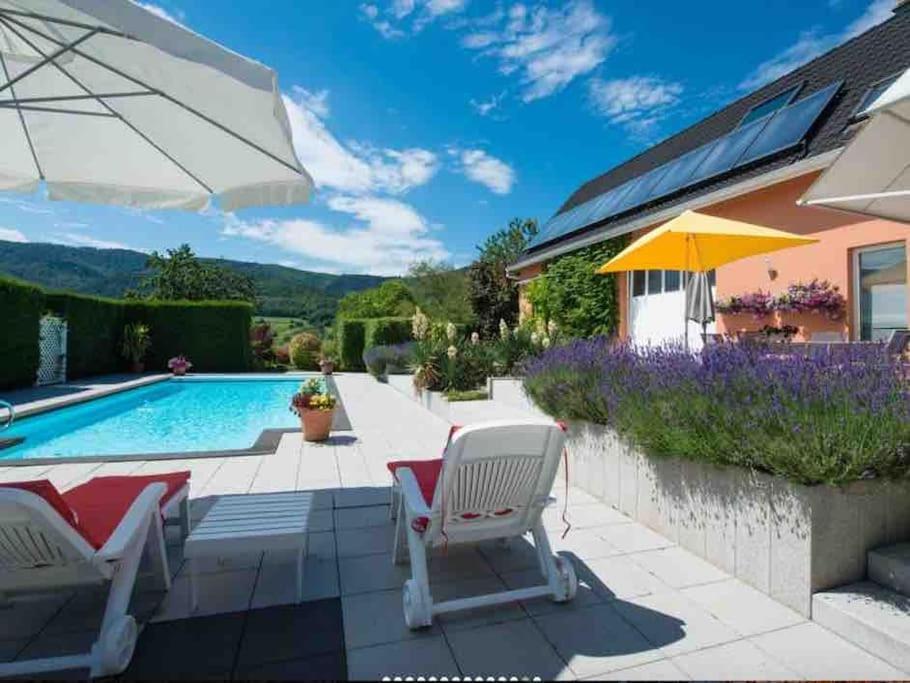 Logement De Charme Au Coeur De La Nature Osenbach Exterior photo